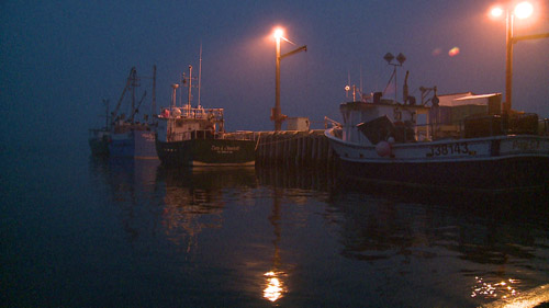 Trepassey harbor at 0 dark thirty