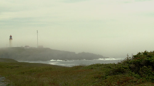 Cape Race fog